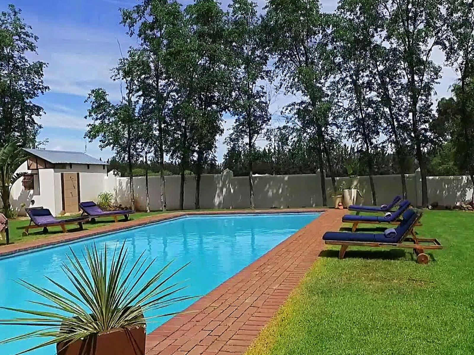 Rondreis Zuid-Afrika, Tulbagh, Vindoux Guest Farm, zwembad