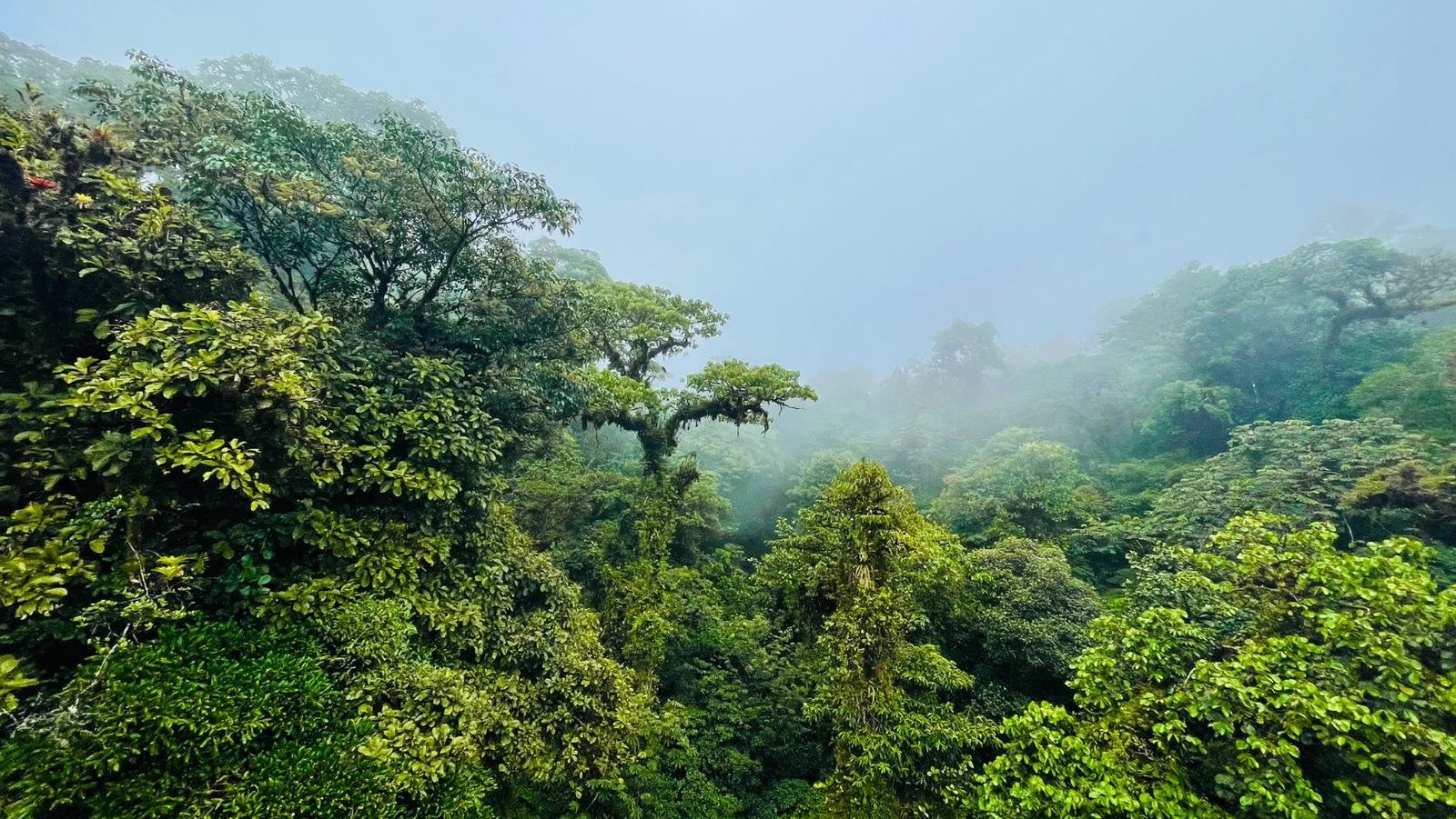 Foto medewerker Mirja, Costa Rica, Monteverde