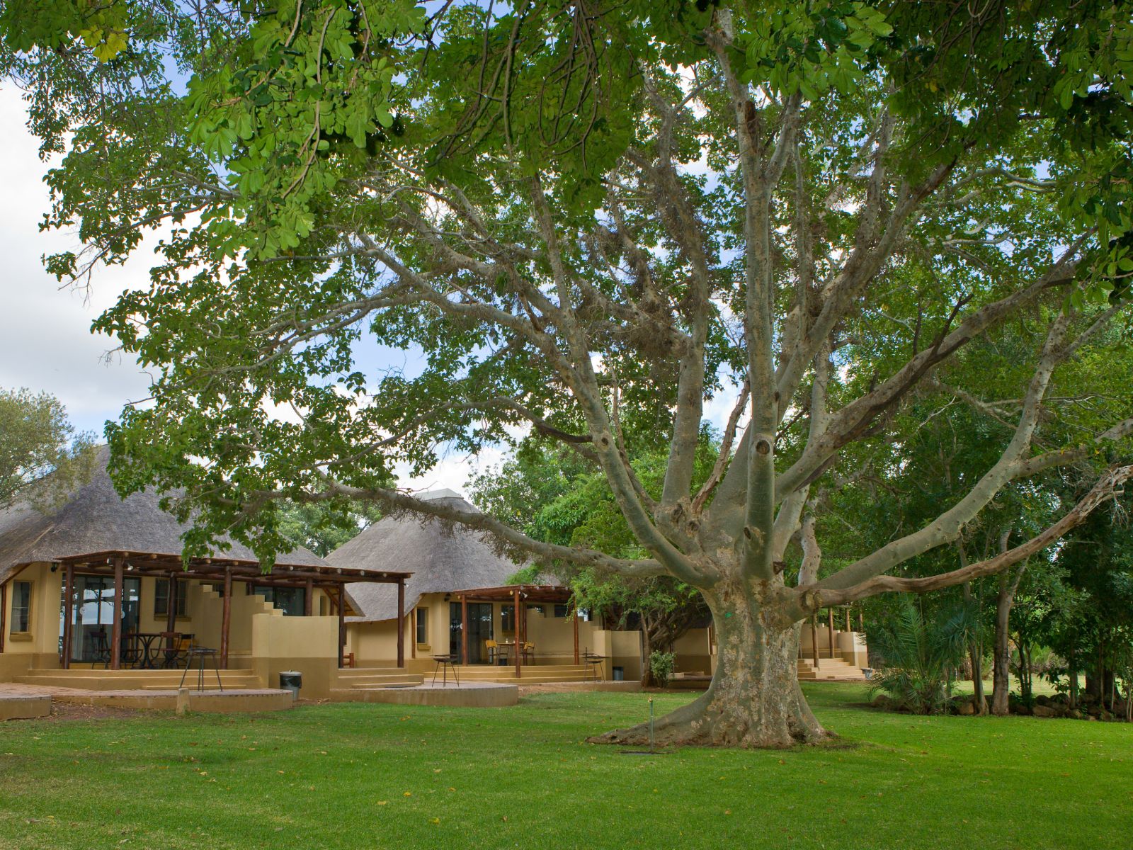 rondreis zuid afrika, kruger park, lower sabie rest camp, lodges