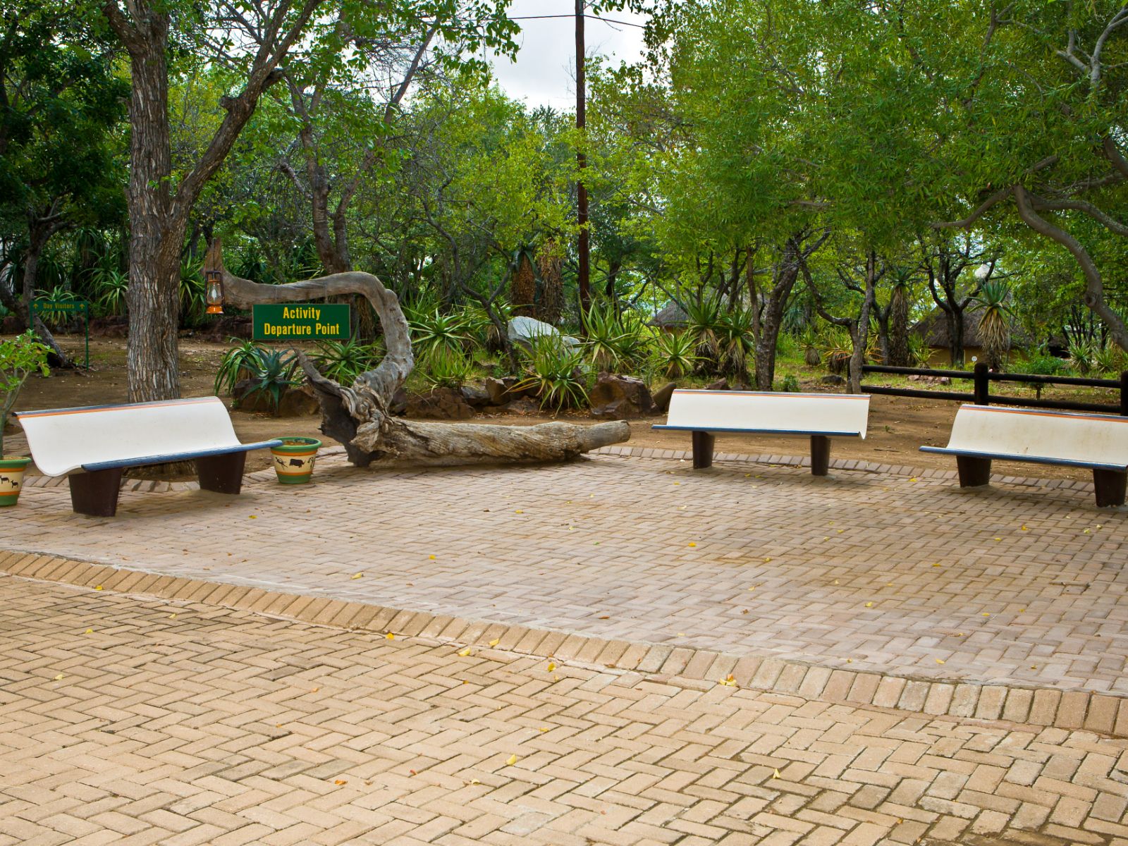 rondreis zuid afrika, kruger park, olifants rest camp, banken