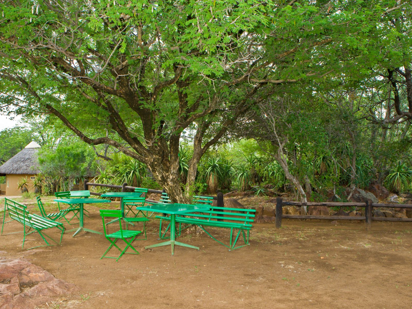 rondreis zuid afrika, kruger park, olifants rest camp, tafels buiten