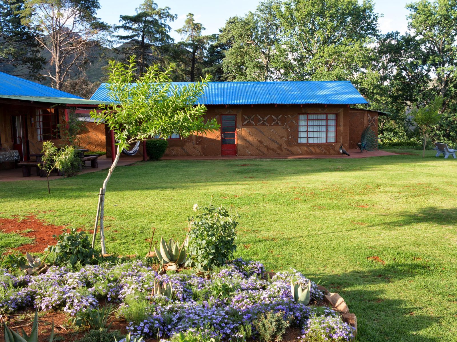 rondreis zuid afrika, lesotho, malealea lodge, tuin