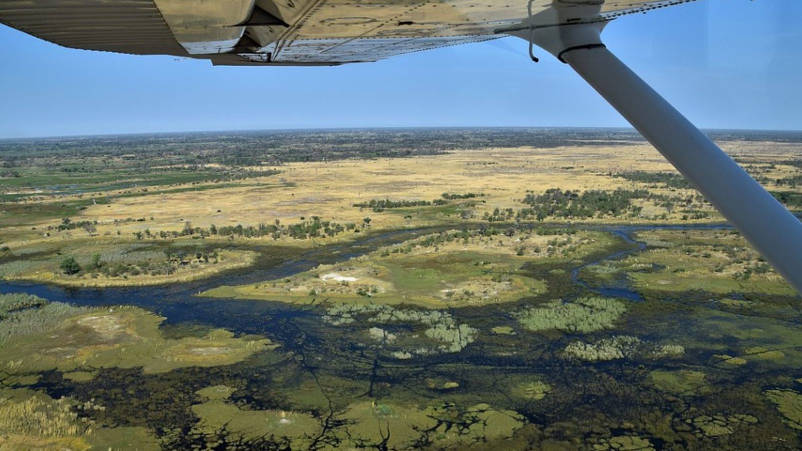 Rondreis Botswana, Maun, bovenaanzicht uit vliegtuig