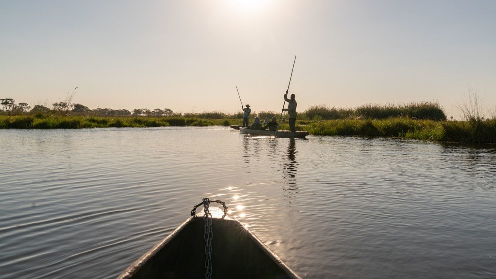 Rondreis Botswana, Okavango Delta, varen in een mokoro