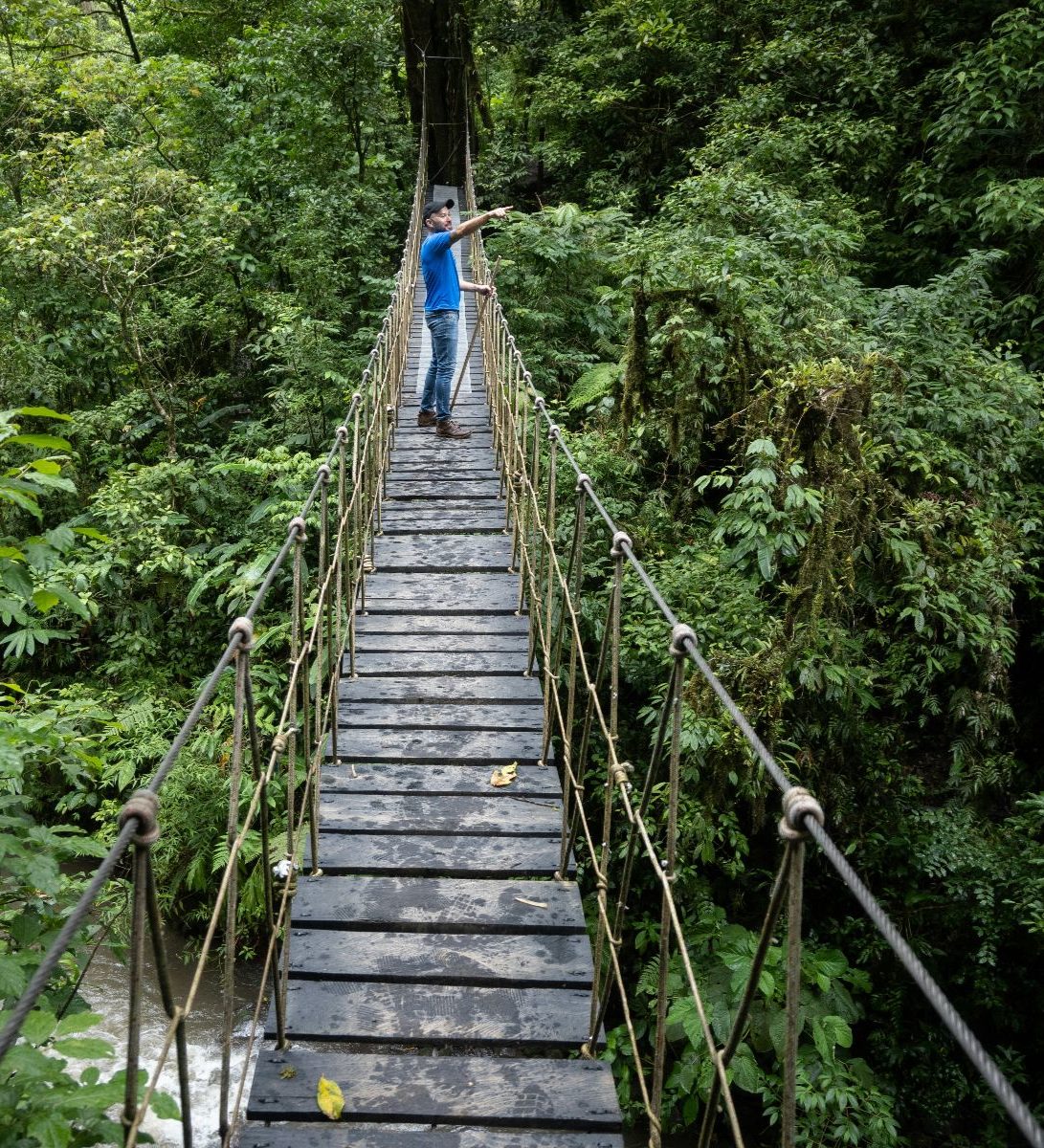 Rondreis-Costa-Rica-Monteverde-man-op-loopbrug-in-het-regenwoud