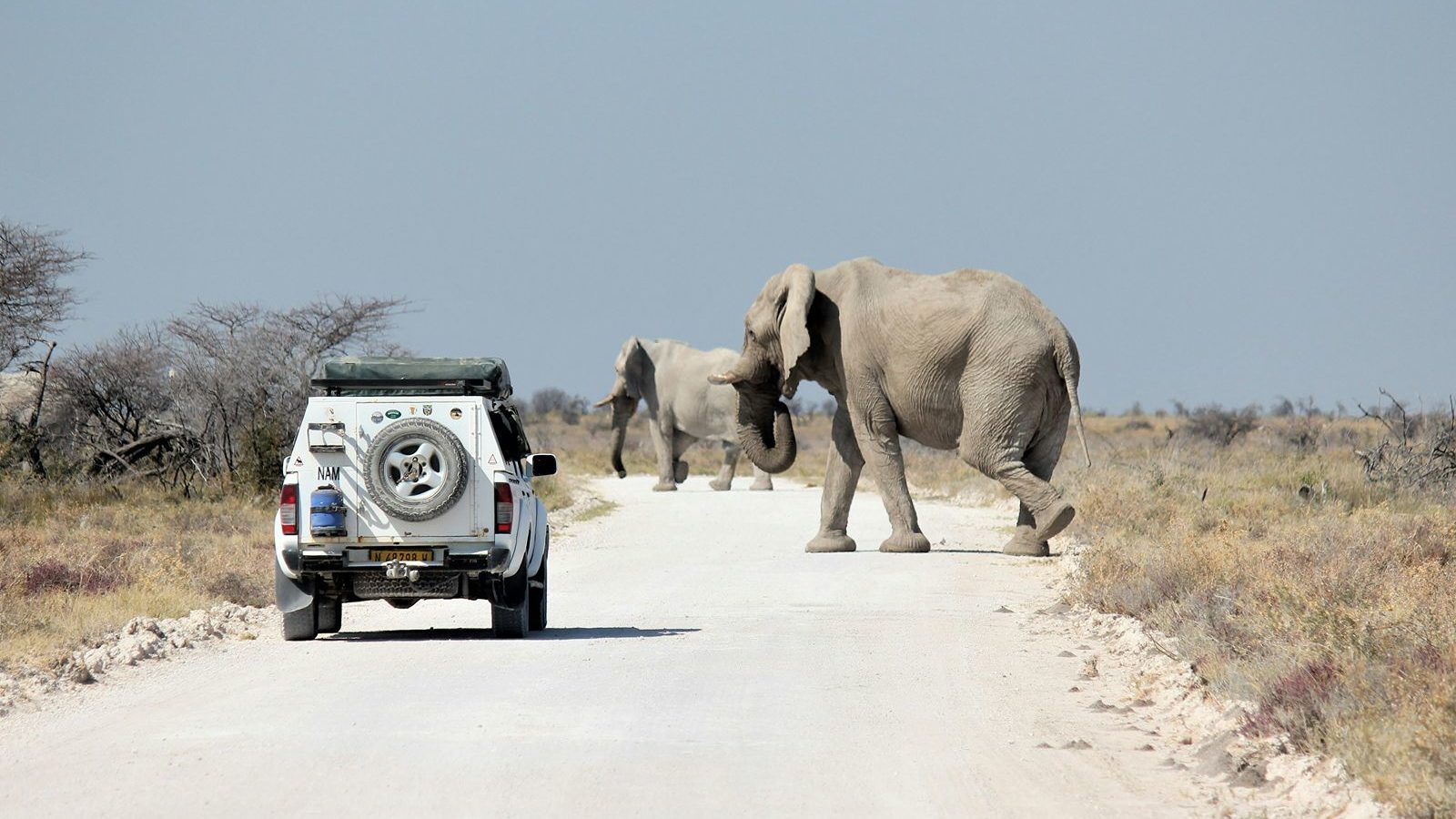 Rondreis Namibië, Etosha National Park, safari auto en olifanten op de weg