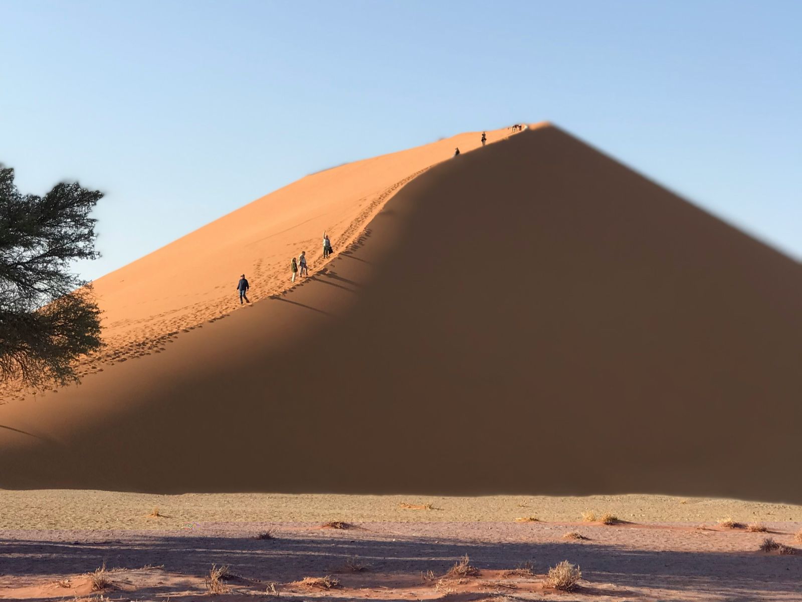 Rondreis Namibië, Sossusvlei, Dune 45 beklimmen