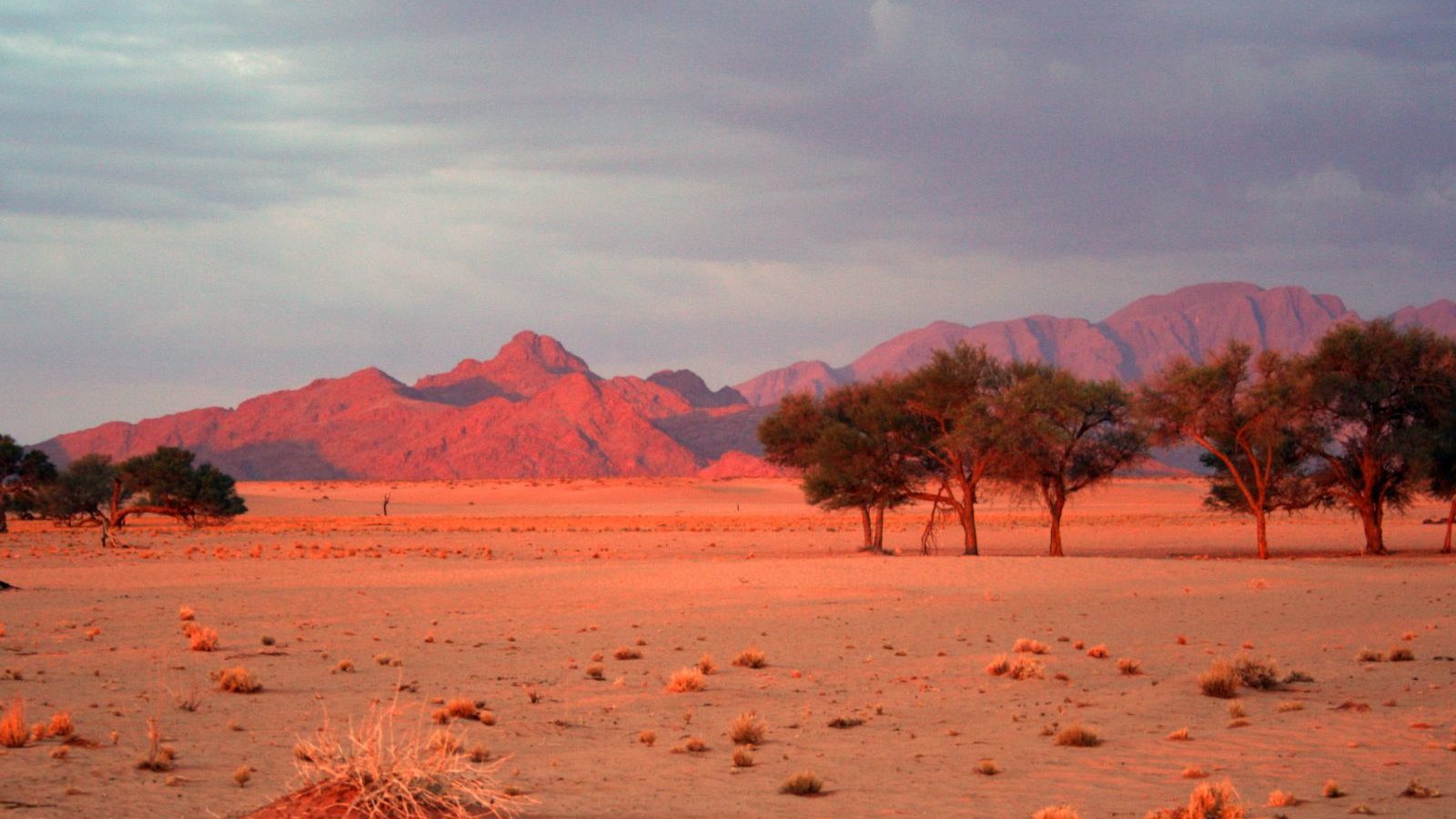 Rondreis Namibië, Sossusvlei, vallei en bergen zonsondergang