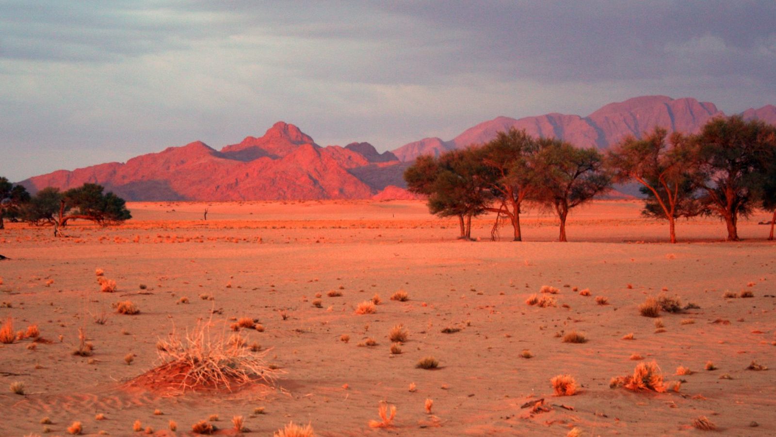Rondreis Namibië, Sossusvlei, vallei en bergen zonsondergang
