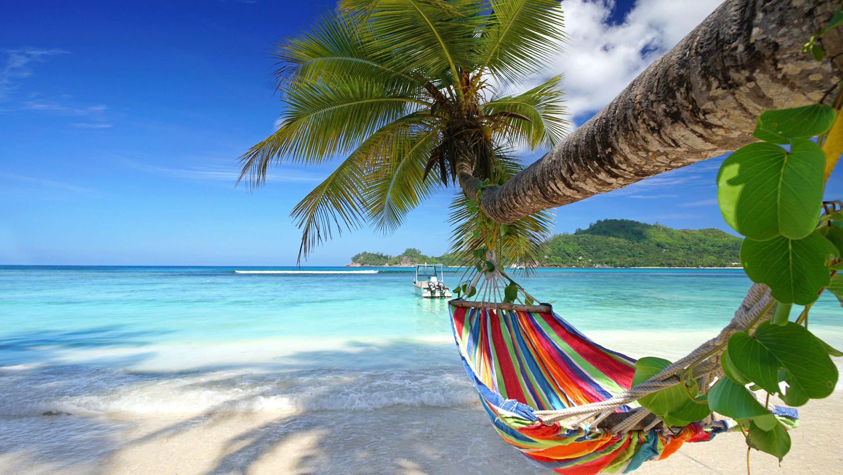 Rondreis-Seychellen-Mahe-hangmat-aan-een-palmboom-aspect-ratio-1000-563