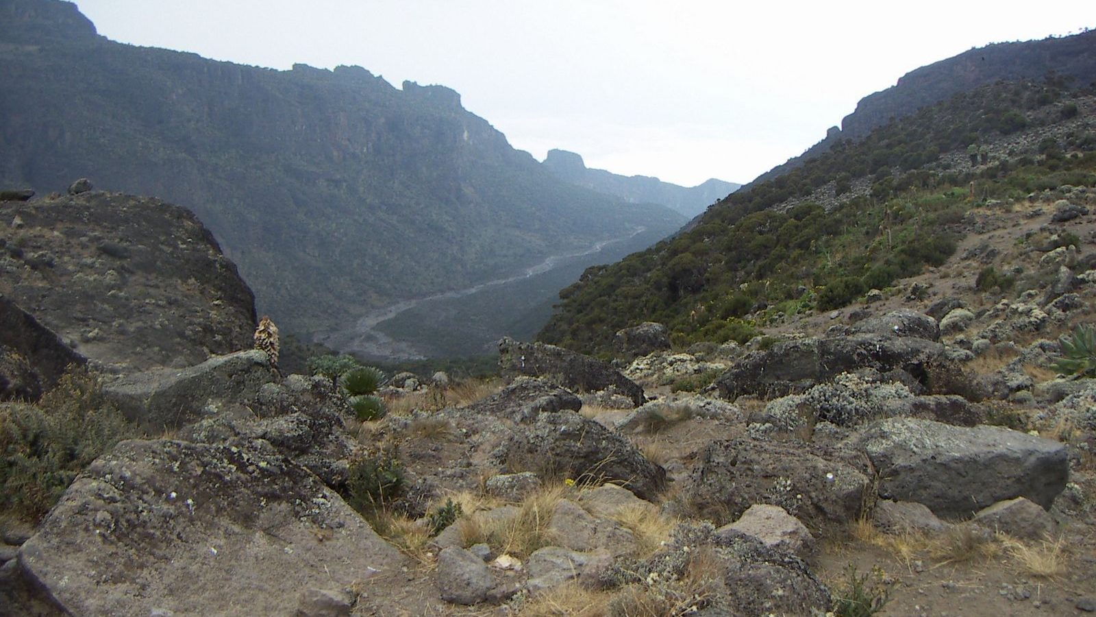Rondreis Tanzania, Kilimanjaro, vallei