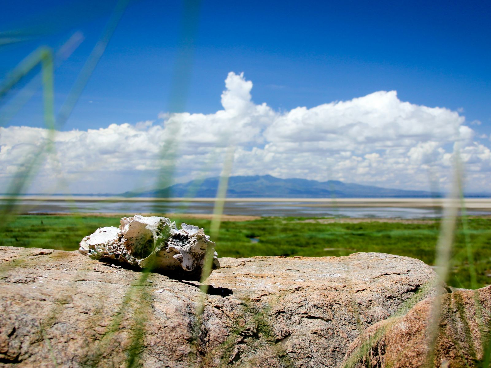 Rondreis Tanzania, Lake Manyara, zoutmeer met Riftvallei op de achtergrond