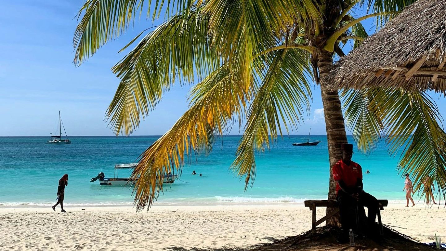 Rondreis Tanzania, Zanzibar strand met palmboom