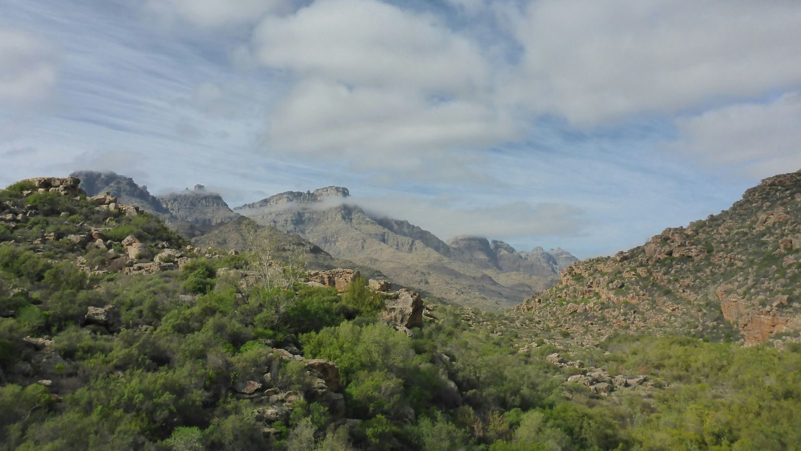 Rondreis Zuid Afrika Cederberg Bergketen