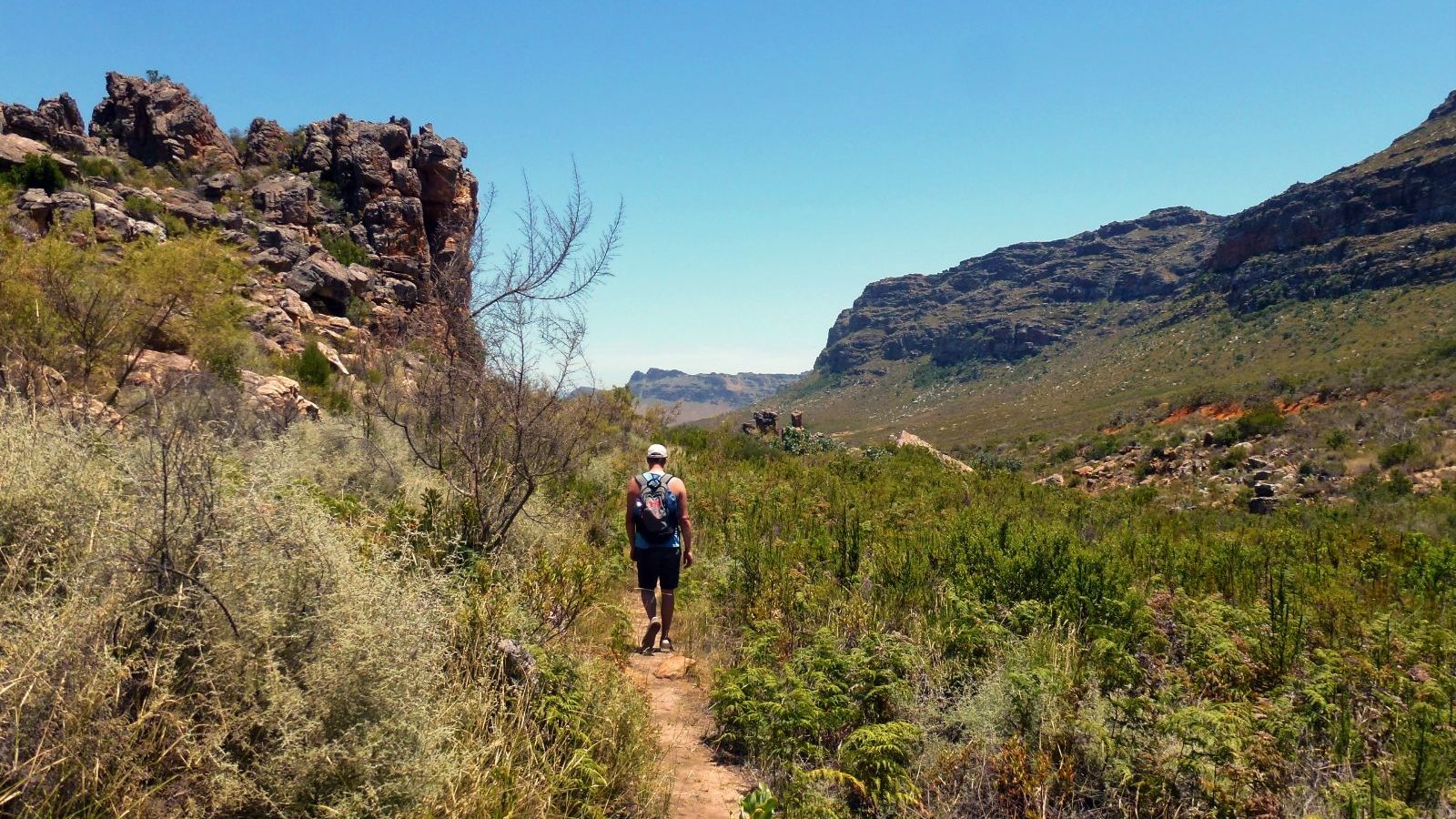 Rondreis Zuid-Afrika, Cederbergen, hike