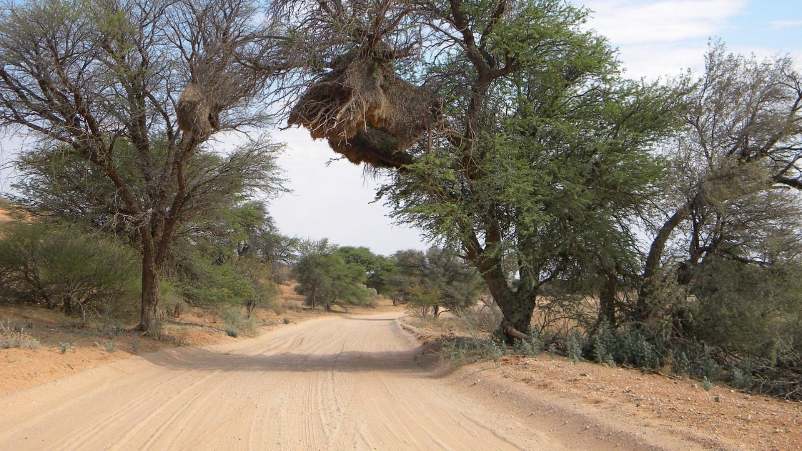 Rondreis Zuid-Afrika, Kgalagadi, vallei met weg