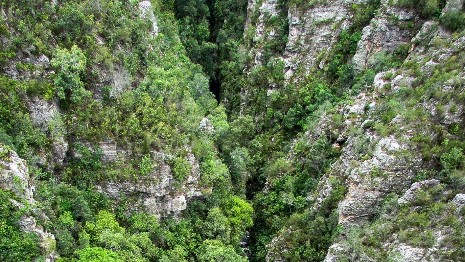 Rondreis Zuid-Afrika, Knysna, bovenaanzicht ravijn