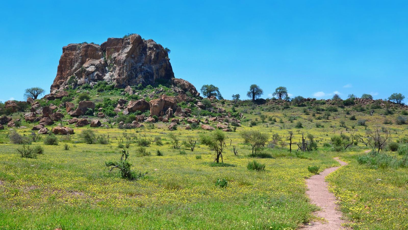 Rondreis Zuid-Afrika, Mapungubwe National Park, landschap
