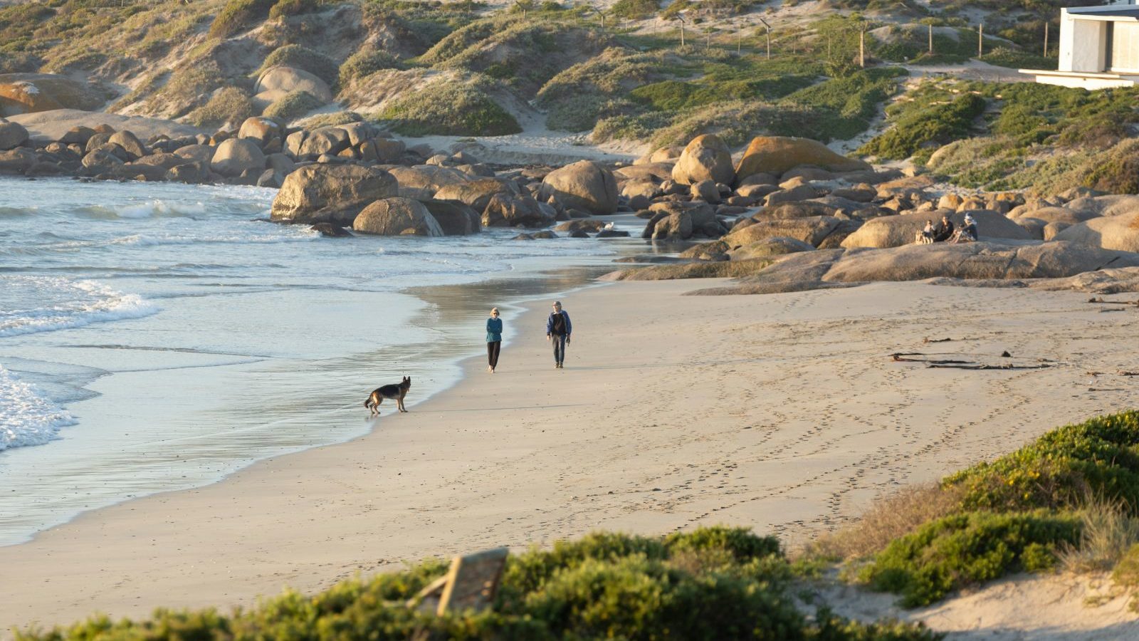 Rondreis Zuid-Afrika, Paternoster, strand met koppel en hond