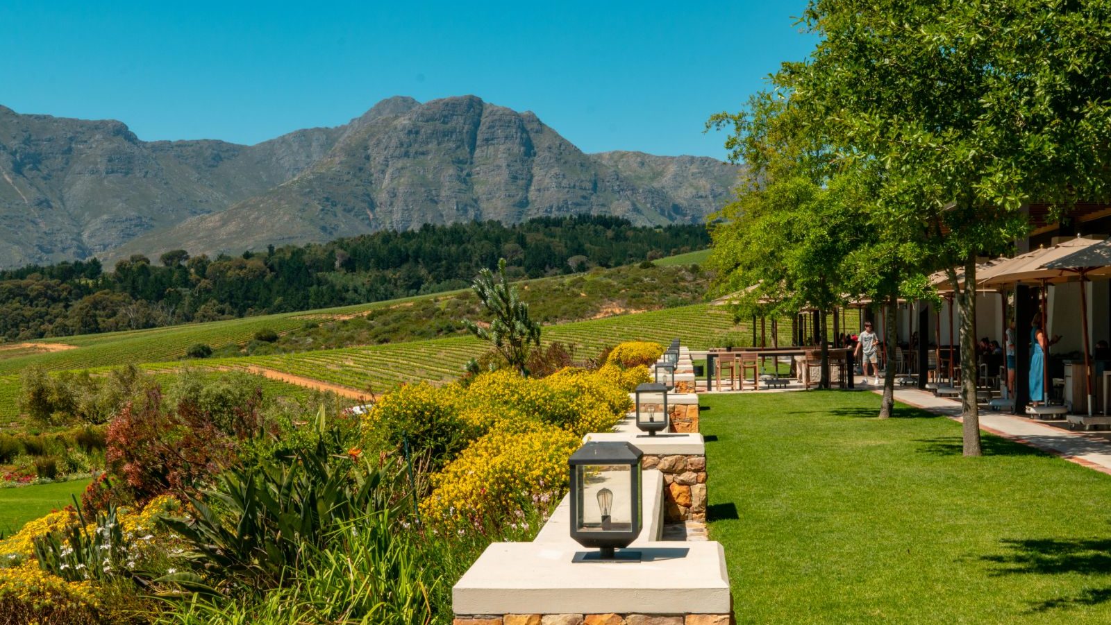 Rondreis Zuid-Afrika, Stellenbosch, wijnhhuis met uitzicht over de wijngaarden