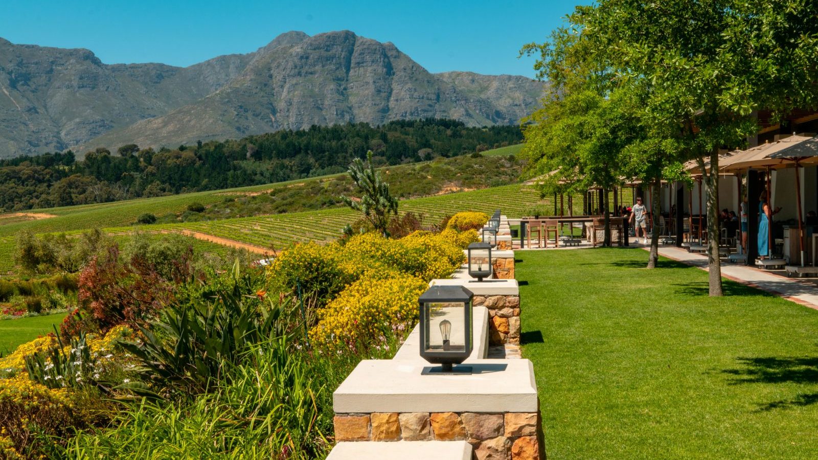 Rondreis Zuid-Afrika, Stellenbosch, wijnhhuis met uitzicht over de wijngaarden