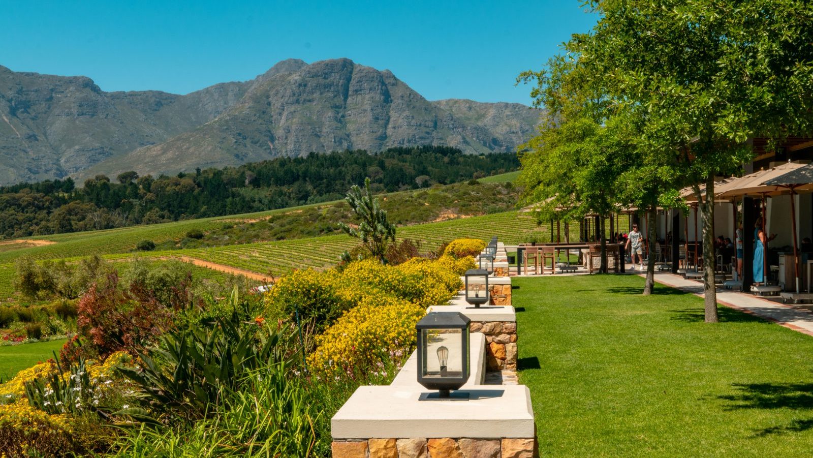 Rondreis Zuid-Afrika, Stellenbosch, wijnhhuis met uitzicht over de wijngaarden