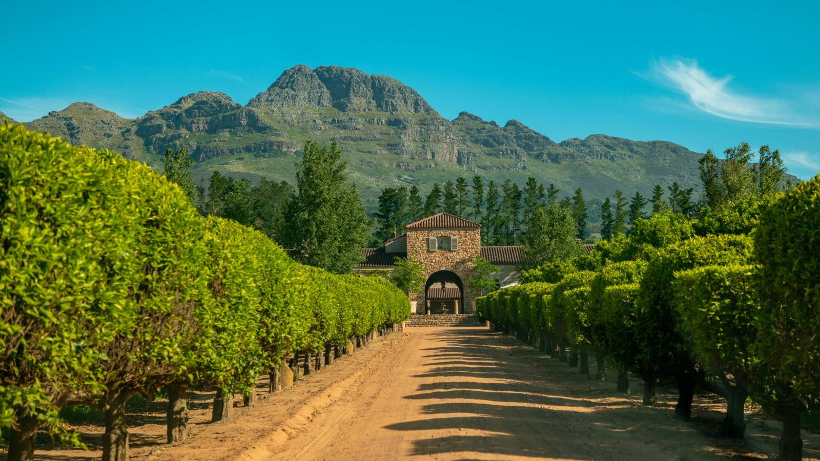 Rondreis Zuid-Afrika, Stellenbosch, wijnhuis en wijngaarden