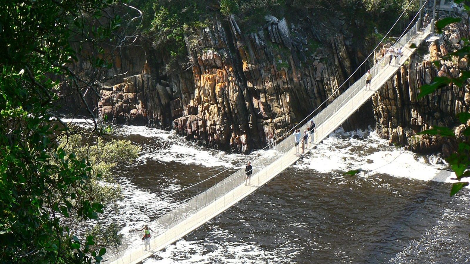 Rondreis Zuid- Afrika, Tsitsikamma National Park, hangrbug over het water