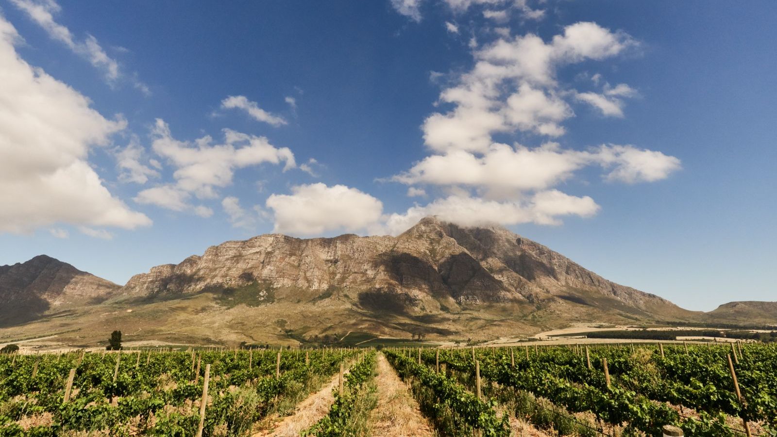 Rondreis Zuid-Afrika, Tulbagh, berg