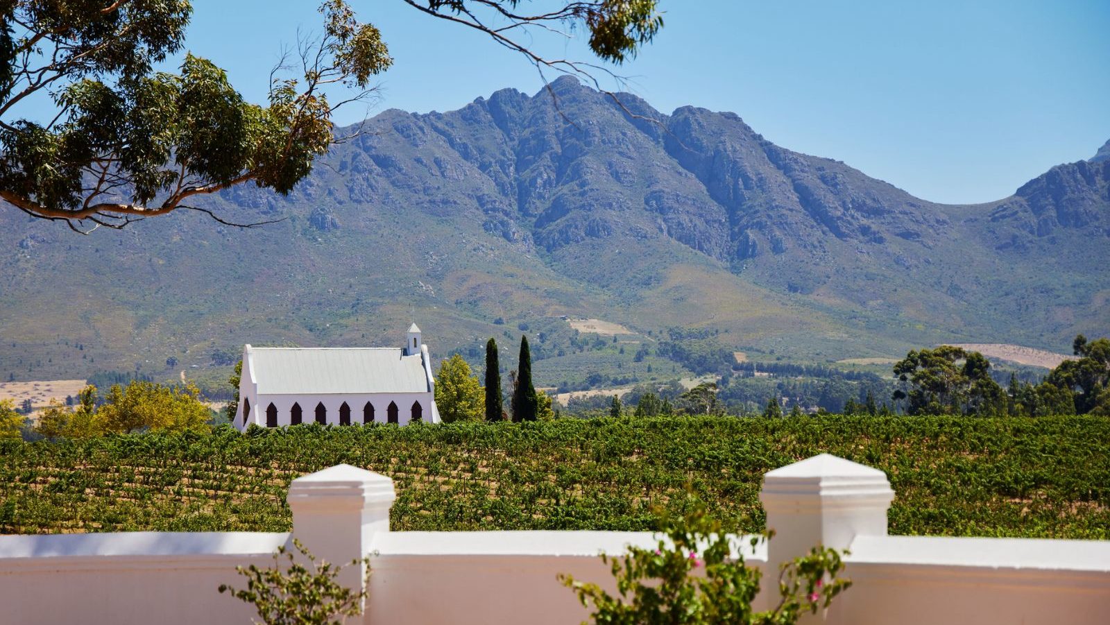 Rondreis Zuid-Afrika, Tulbagh, kapelletje in een wijngaard in een mooi landschap