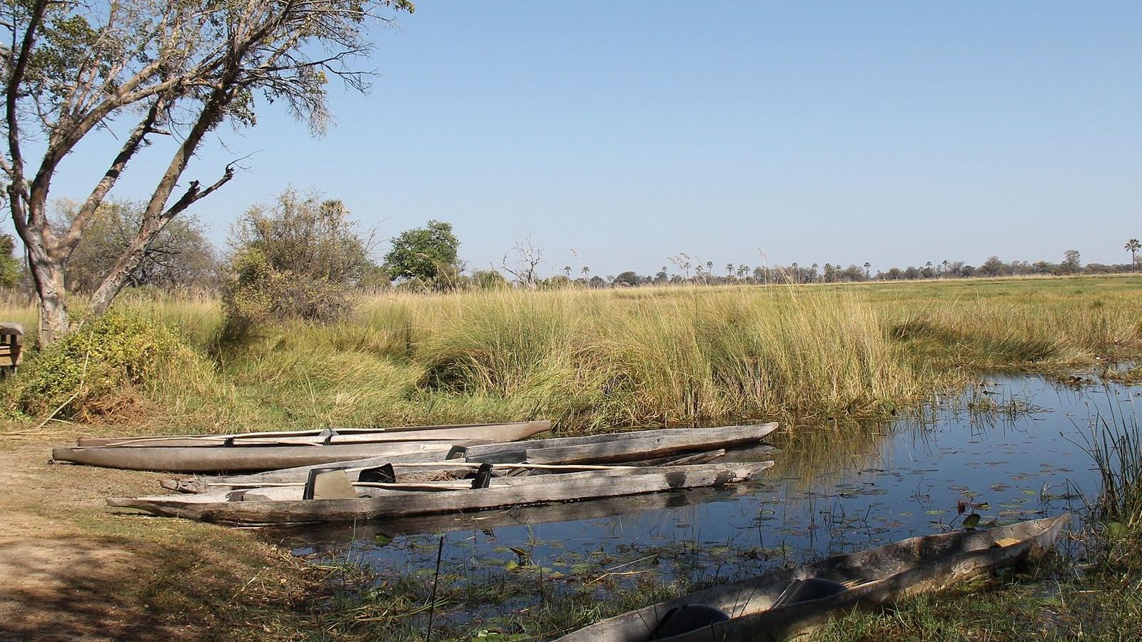 rondreis botswana okavango delta mokoro boot aan oever