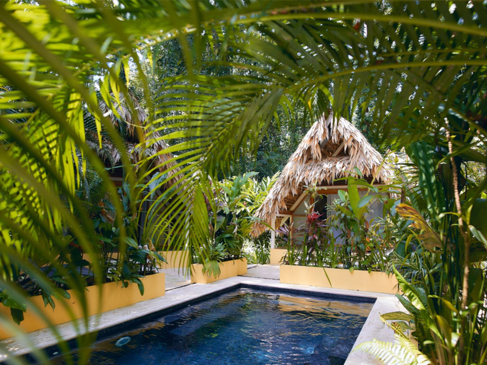 rondreis costa rica, punta cocles, shawandha ecolodge zwembad