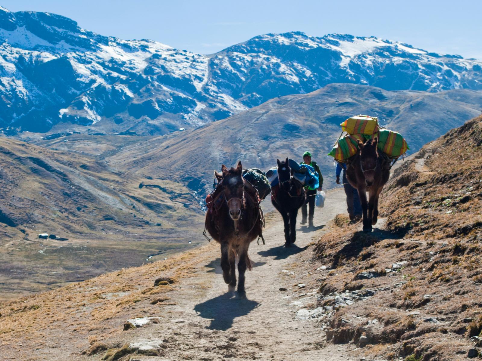 rondreis peru- lares trekking 3
