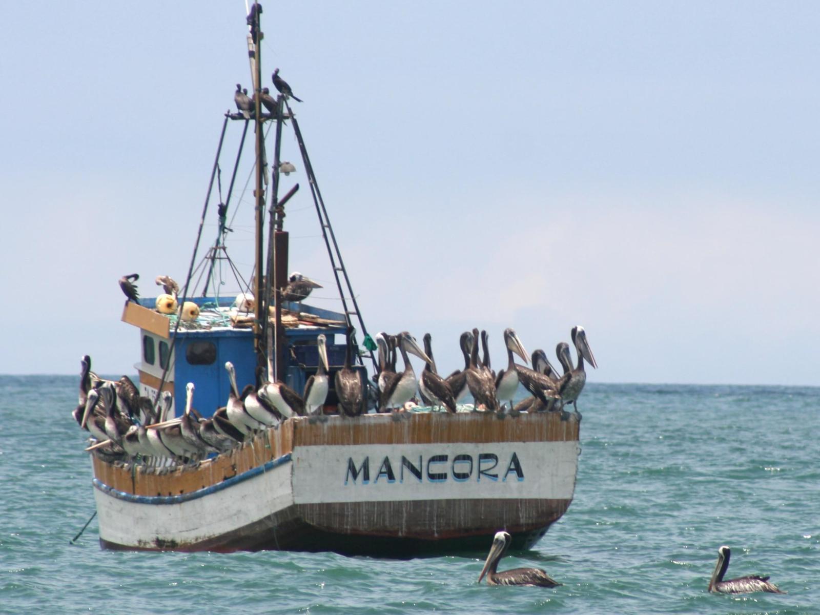 rondreis peru- mancora strandverlenging - boot