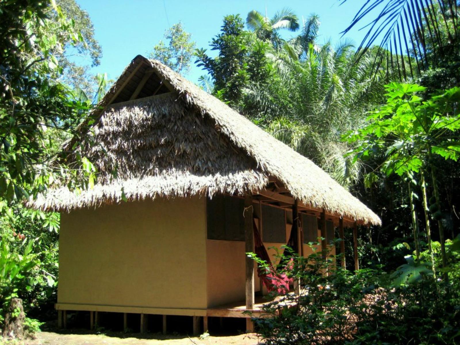 rondreis bolivia - rurrenabaque - madidi jungle ecolodge - chalet van buiten 2
