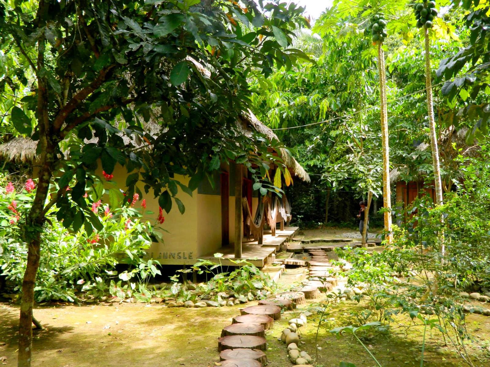 rondreis bolivia - rurrenabaque - madidi jungle ecolodge - chalet van buiten