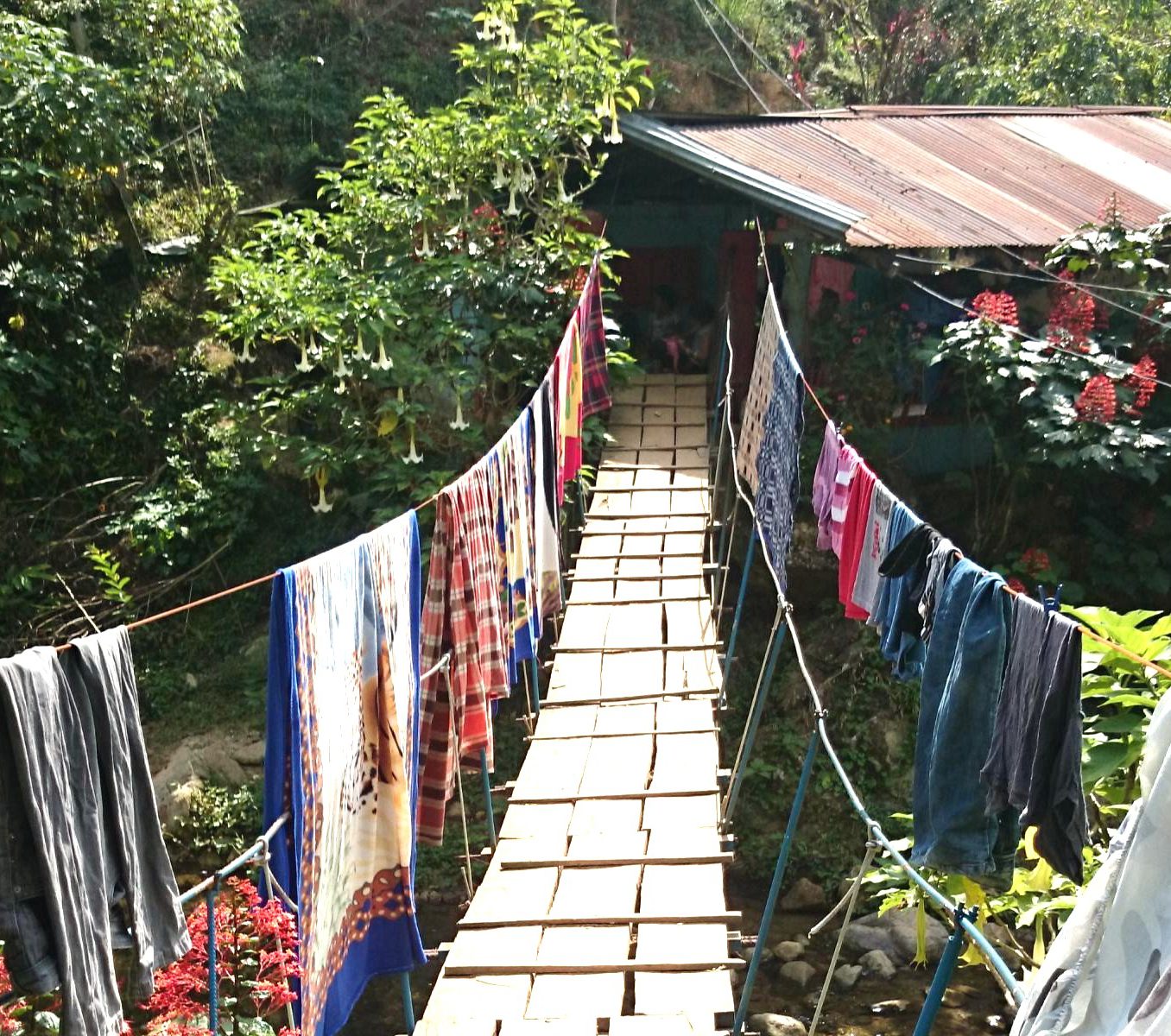 rondreis colombia - trekking ciudad perdida - brug met was
