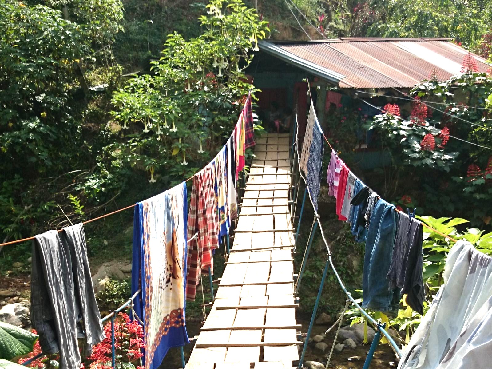 rondreis colombia - trekking ciudad perdida - kamp - brug met was