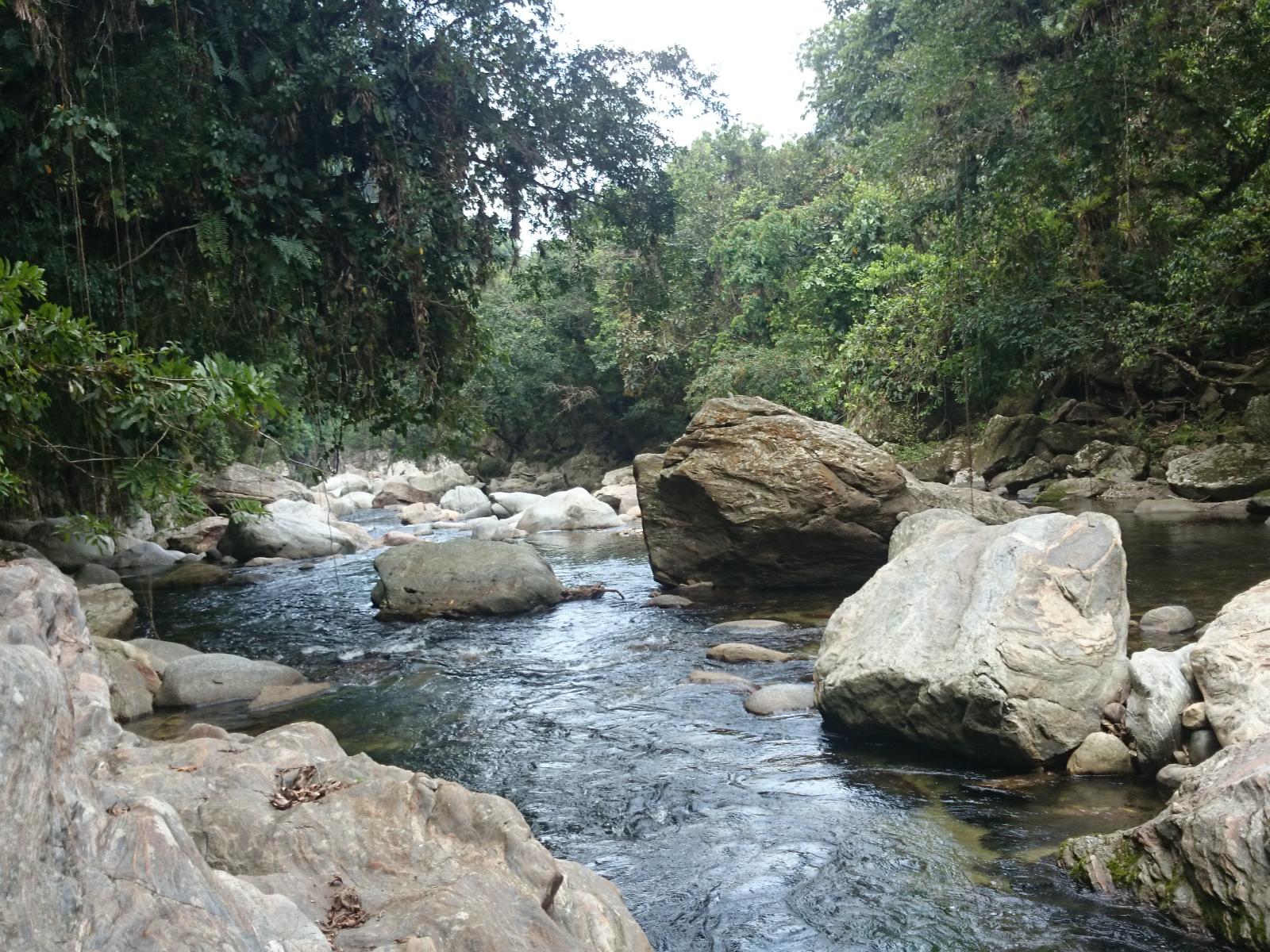 rondreis colombia - trekking ciudad perdida - kamp - rivier