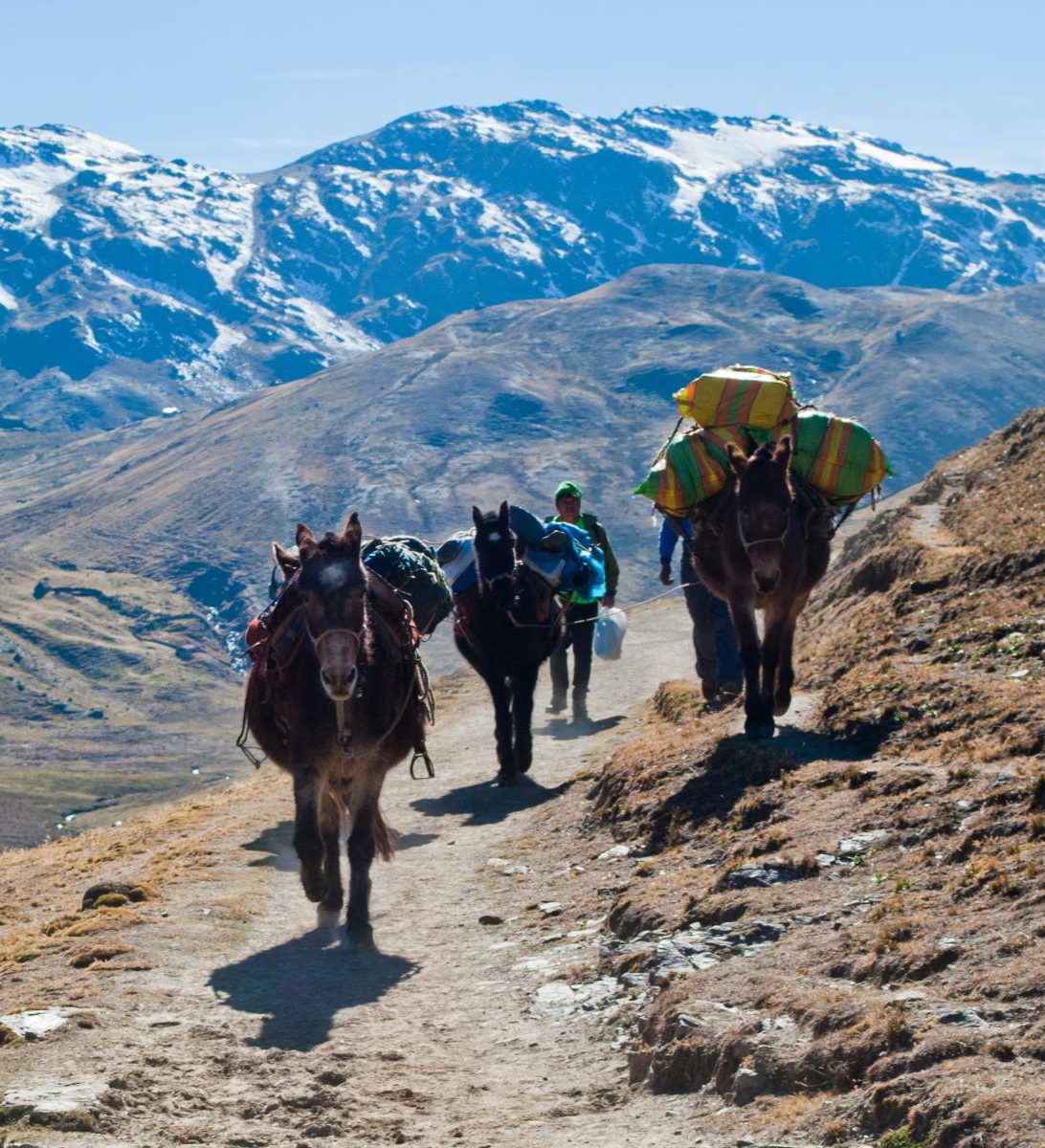 rondreis-peru-lares-trekking