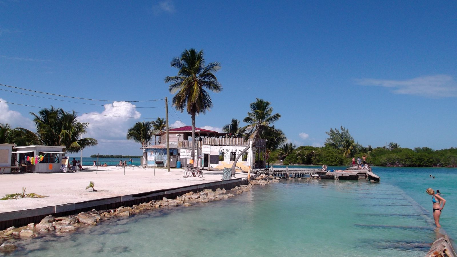 Rondreis Belize, Caye Caulker, kade met palmboom en zee
