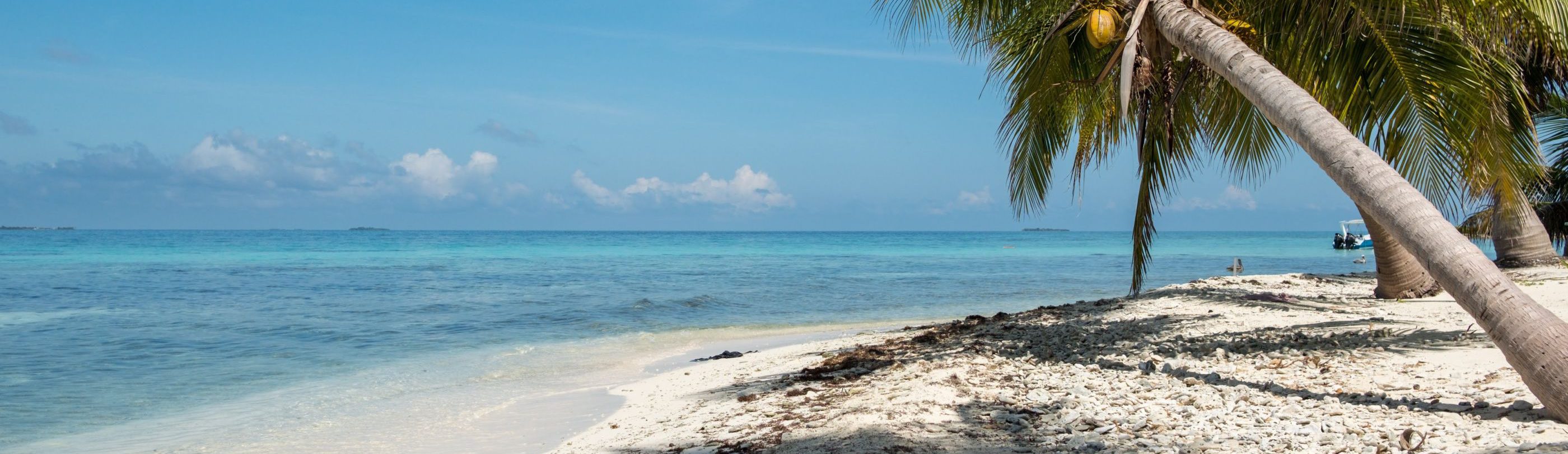 Rondreis-Belize-Caye-Caulker-strand-met-palmboom