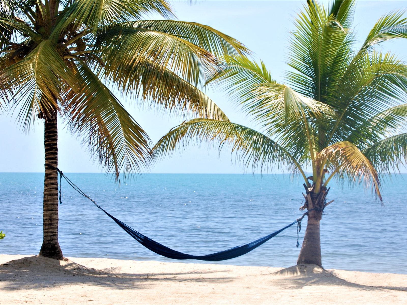Rondreis Belize, Placencia, strand met palmbomen en hangmat