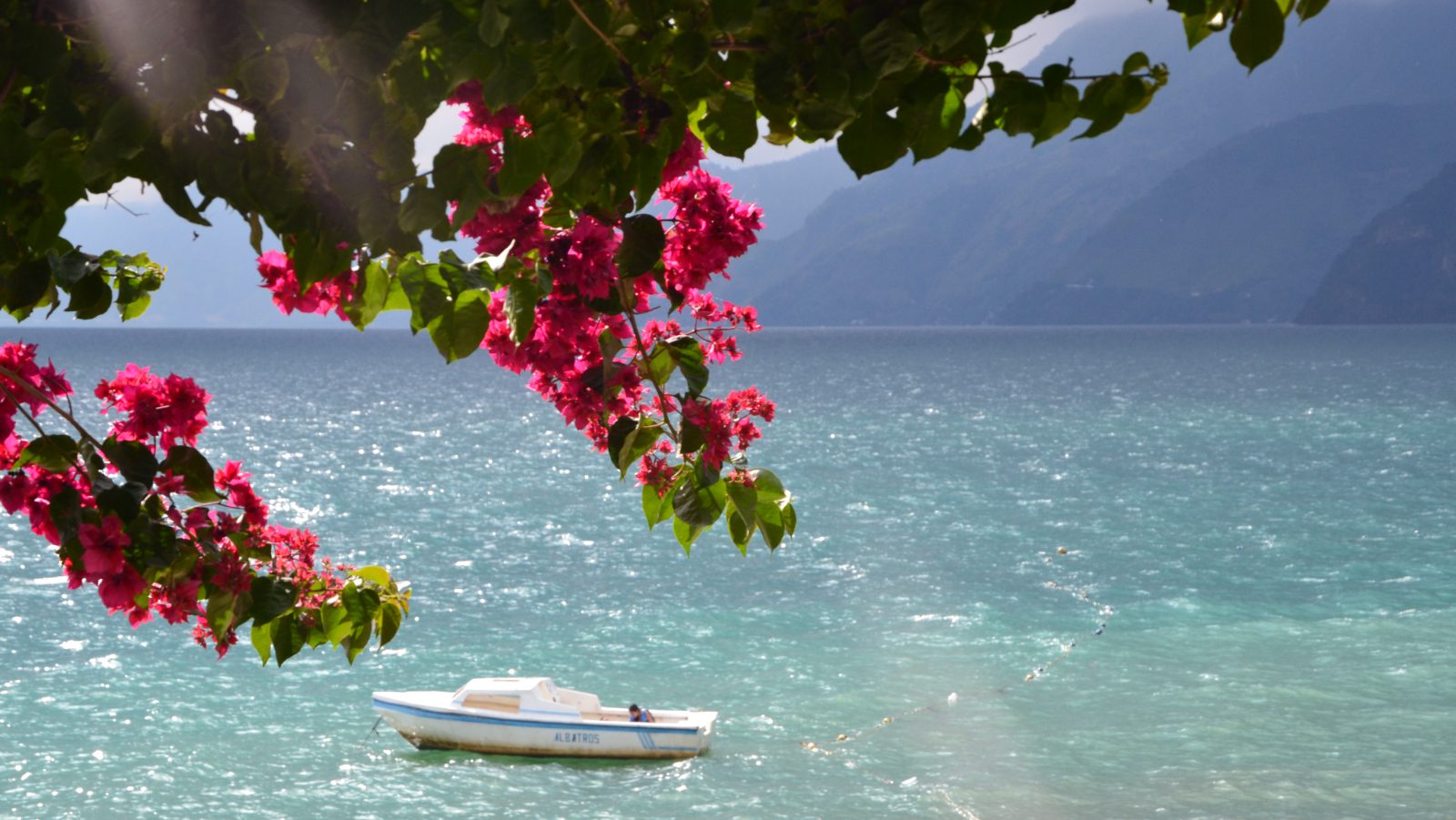 Rondreis Guatemala, Lake Atitlán Panajachel, bootjes op het meer met roze bloemen