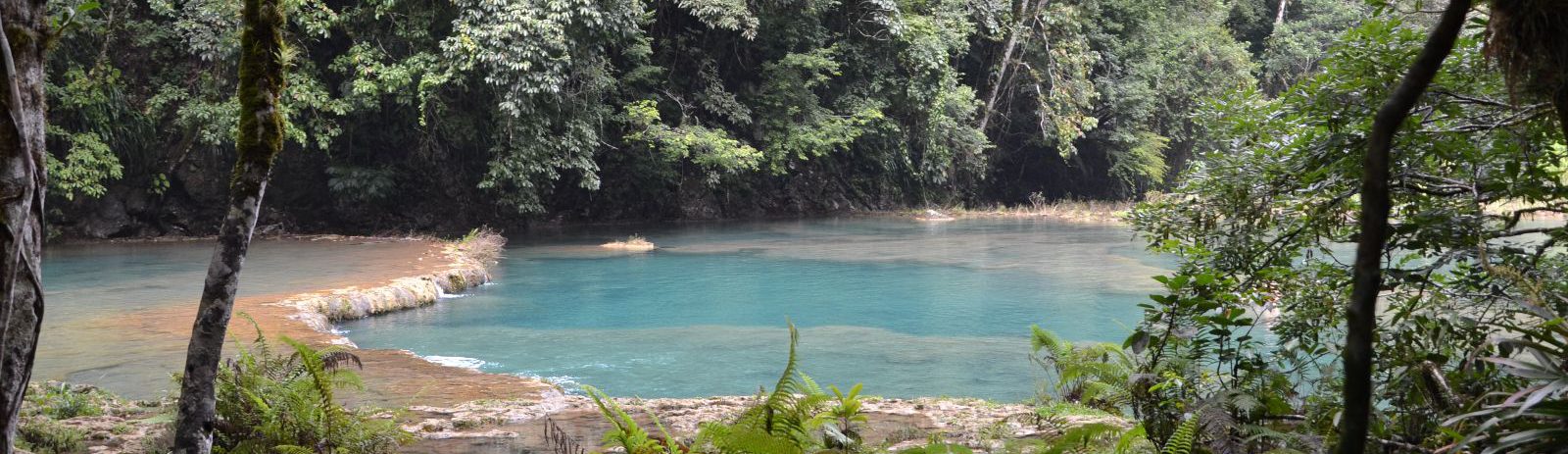 Rondreis Guatemala, Semuc Champey, rivier door de bomen