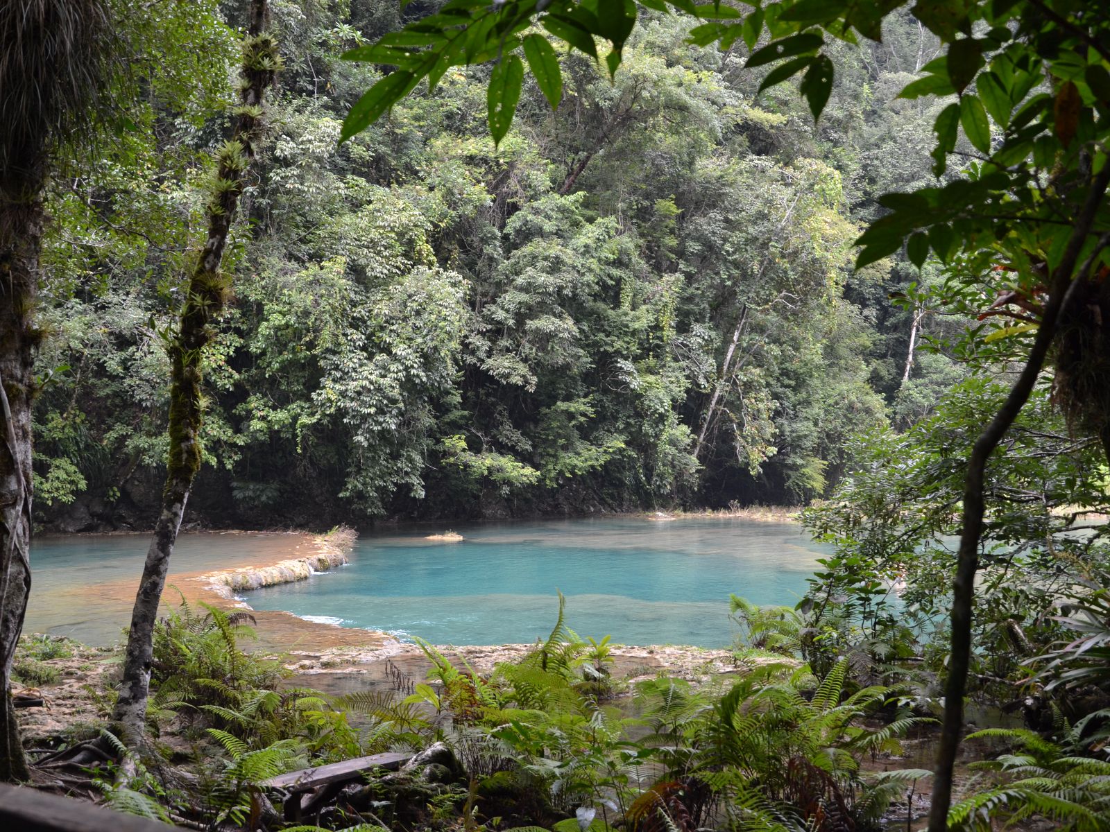 Rondreis Guatemala, Semuc Champey, rivier door de bomen