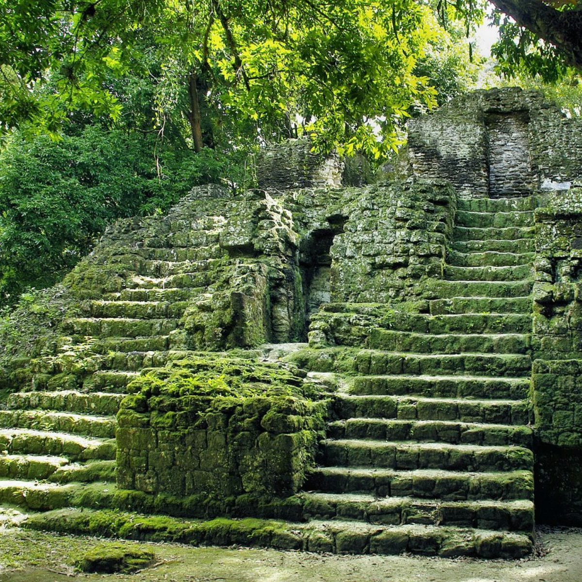 Rondreis-Guatemala-Tikal-Maya-tempel-trappen-met-mos