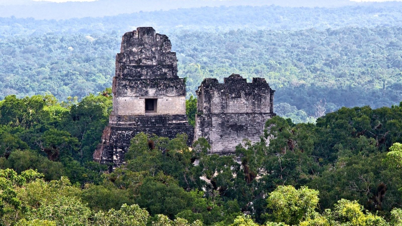 Rondreis Guatemala, Tikal, in de verte twee tempels