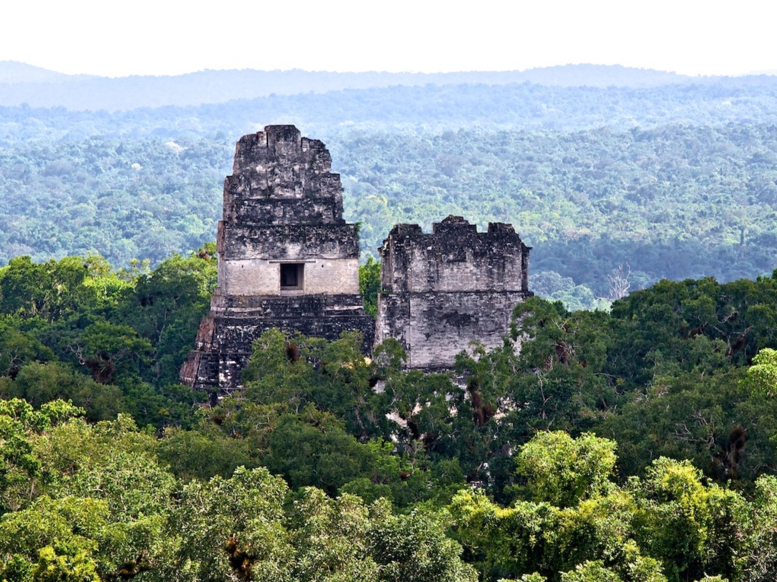 Rondreis Guatemala, Tikal, in de verte twee tempels
