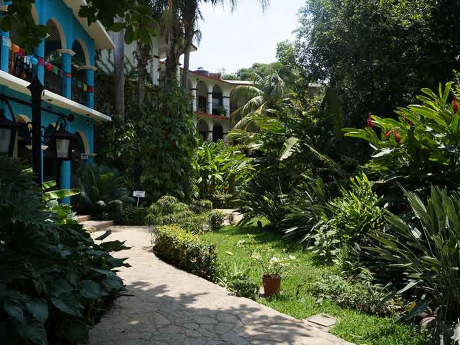 Rondreis Mexico, Chiapa de Corzo, La Ceiba, buitenzijde tuin pad